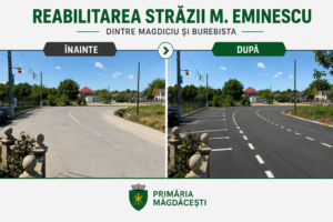 Str.Eminescu v1